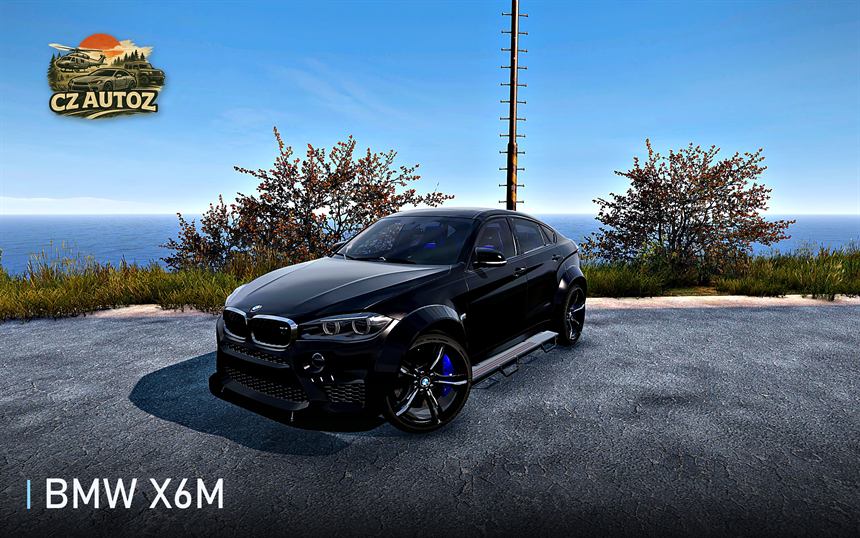 BMW X6M